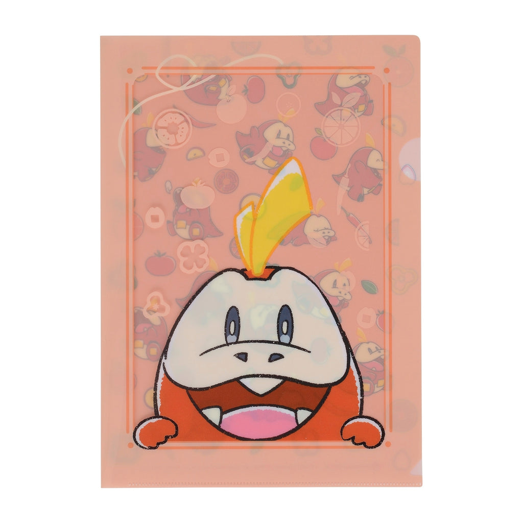 A4 clear file hogator