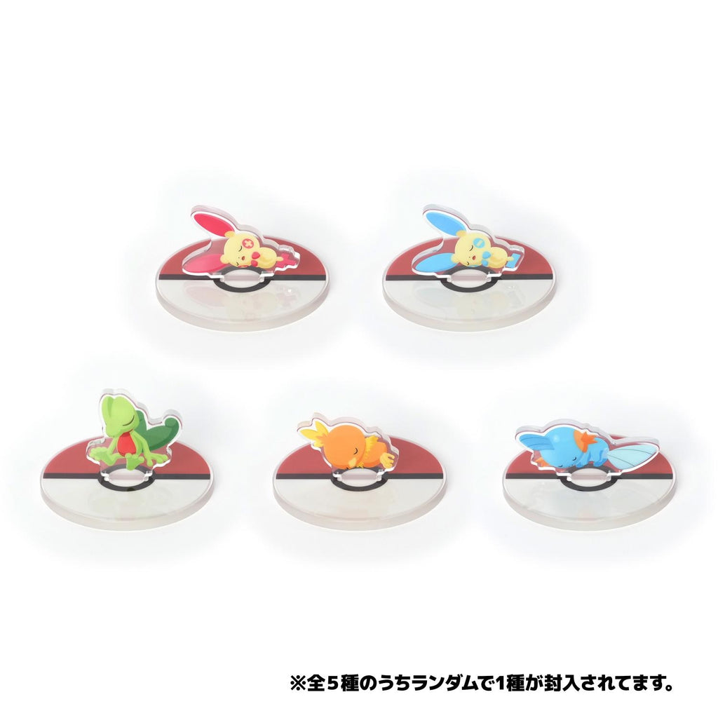 Drowzee Acrylic Stand from Japan, official Pokemon Center product