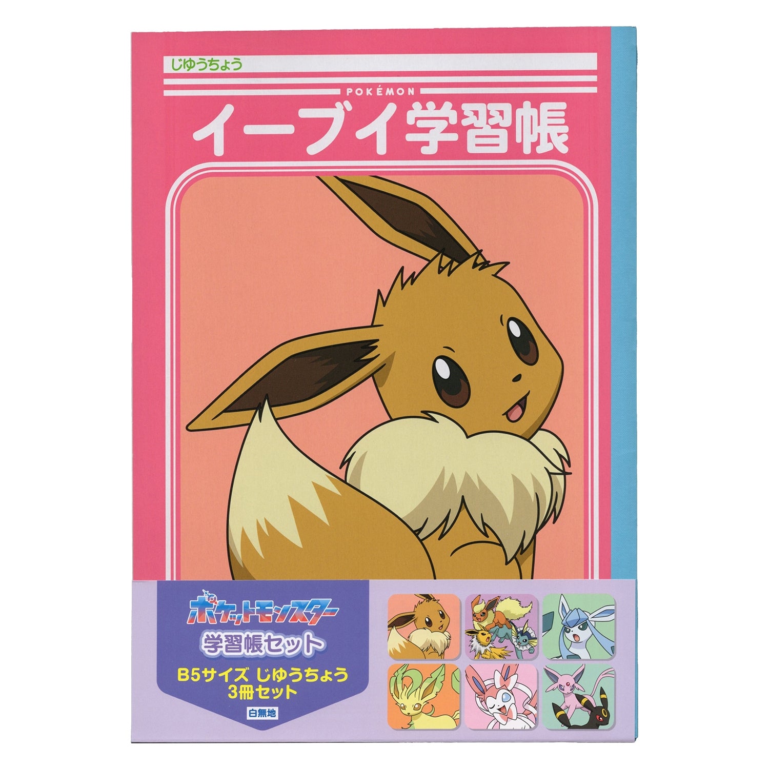 Pokemon Study Book Set B5 from Japan, featuring unique anime designs