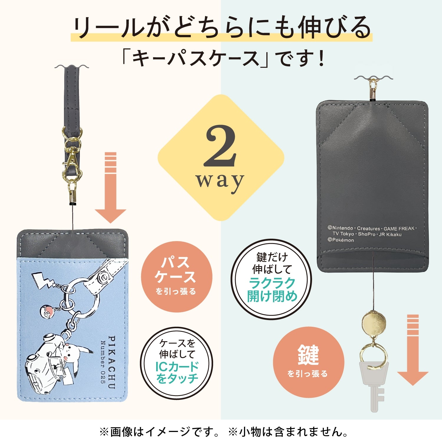 2WAY reel pass case “Pikachu number025” Fun drive