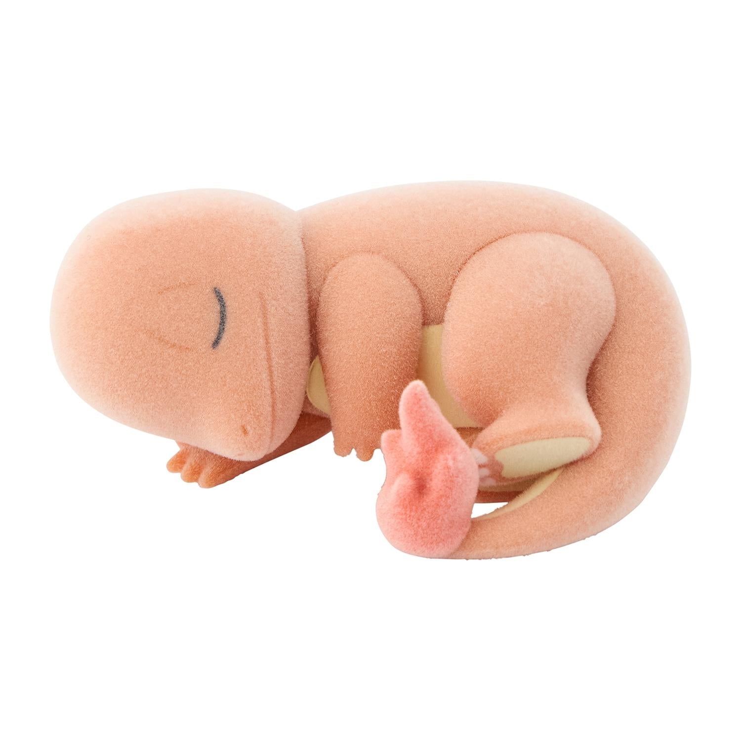 Figure Collection Pokémon Sleep Wakaxa Honjima BOX