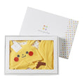 Monpoke gift set (apron suit & hat)
