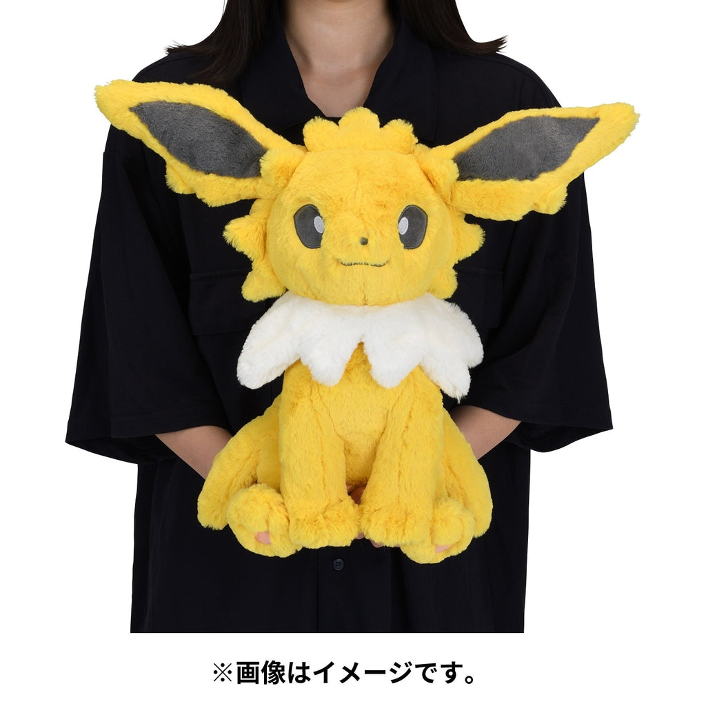 Close-up of Pokemon Sanders plushie's adorable face, shipped from Japan with love