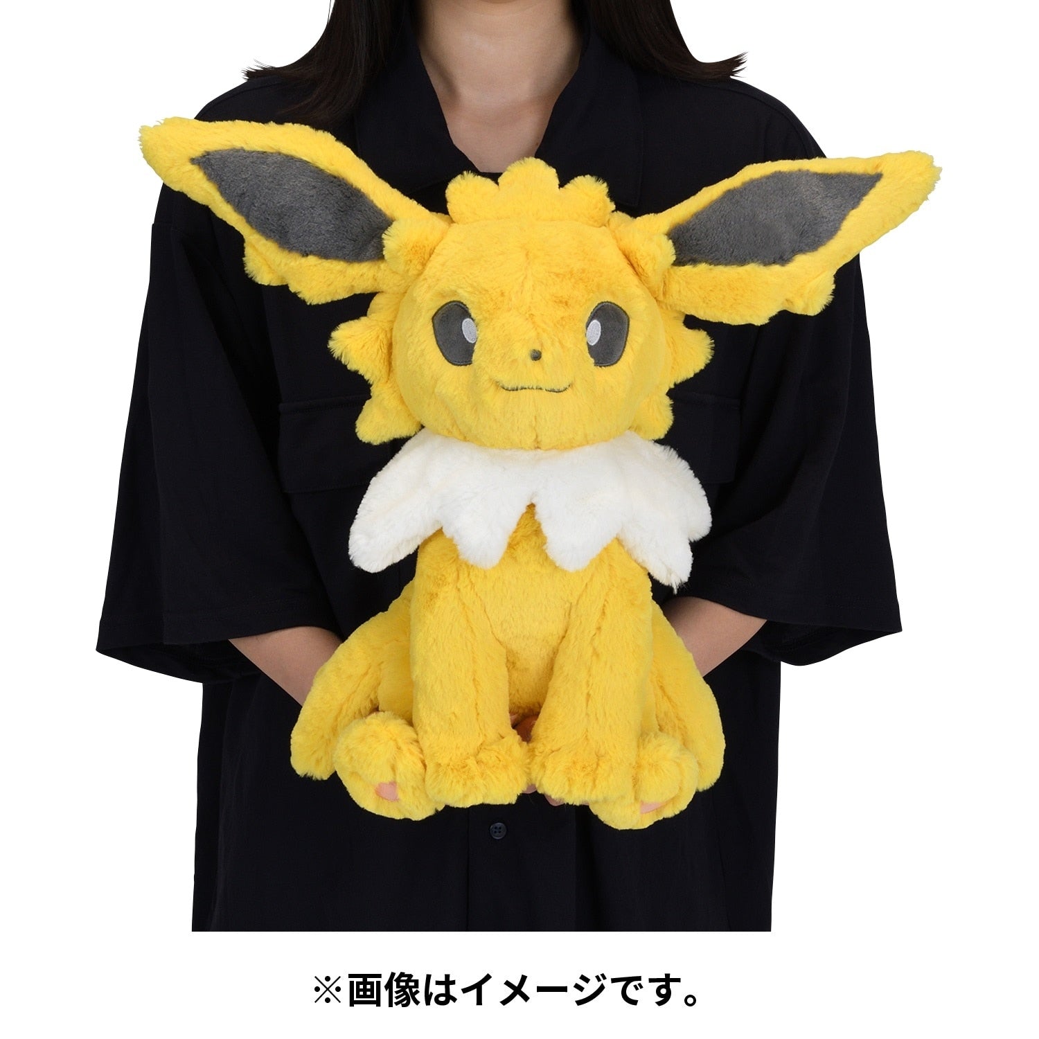 Close-up of Pokemon Sanders plushie's adorable face, shipped from Japan with love