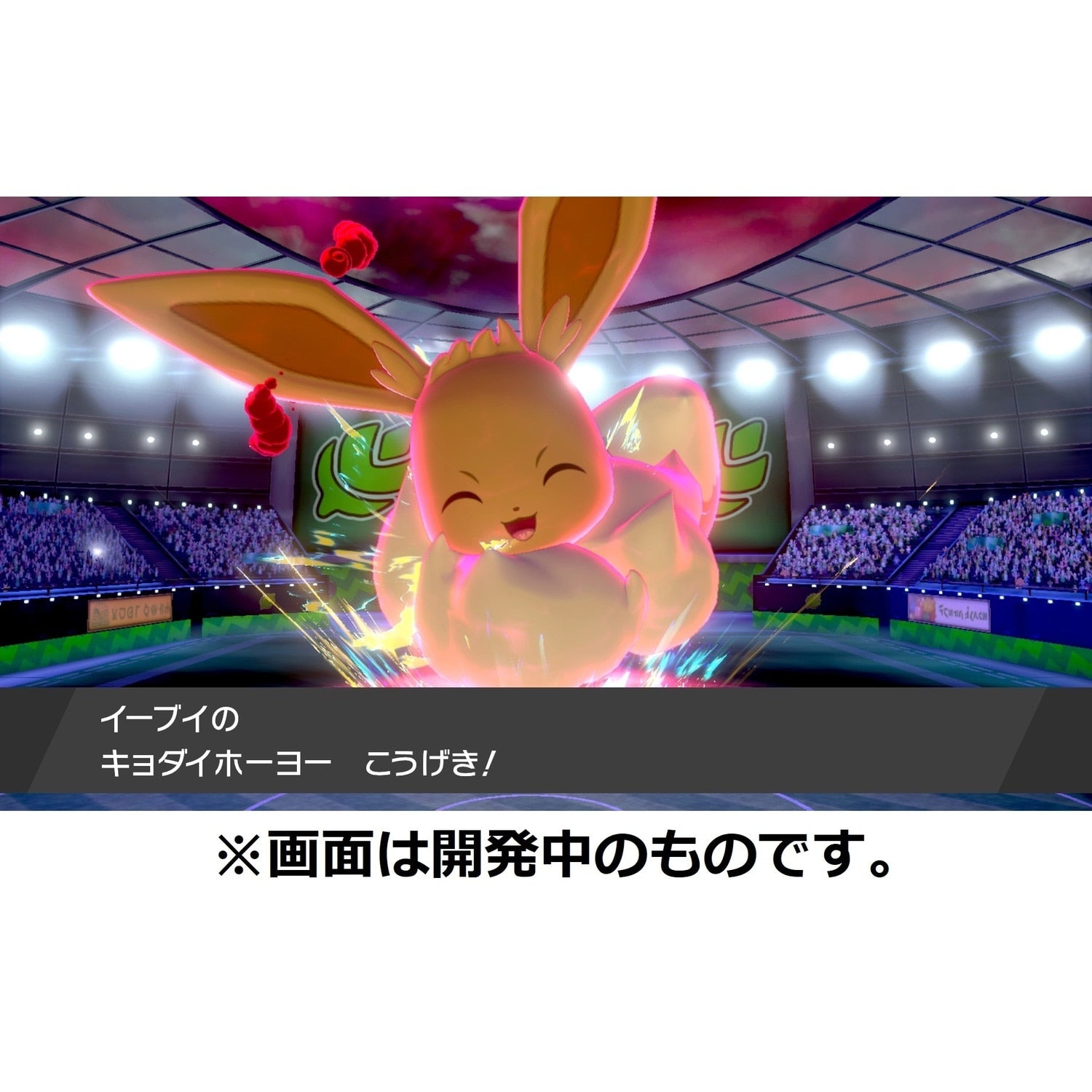 Pokemon Sword game, official Pokemon Center Online product from Japan