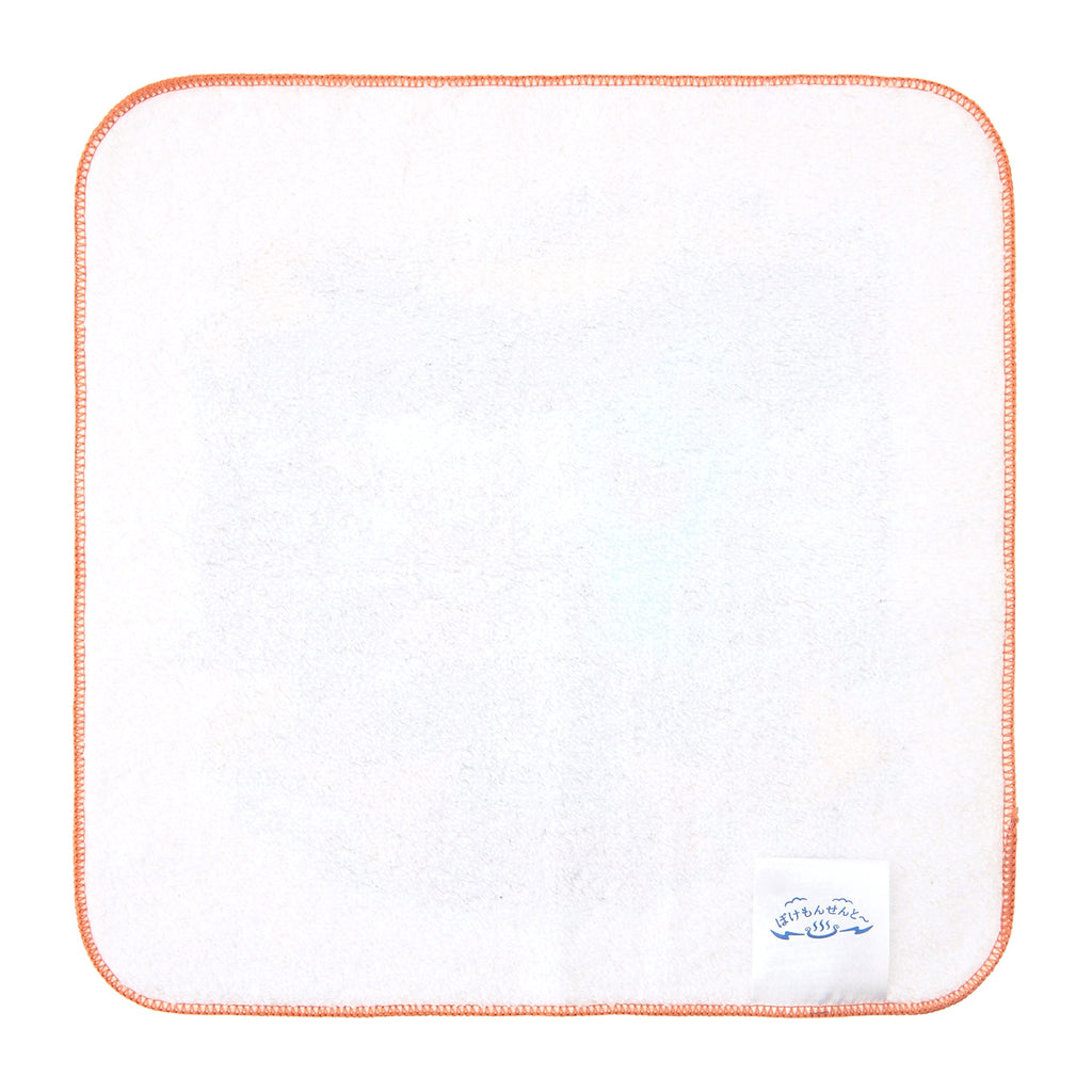 Authentic Japanese Pokemon Hand Towel, colorful design with Sonance and Mug Mag
