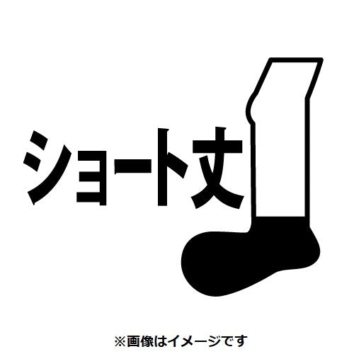 Authentic Japanese Squirtle socks with water-type logo, shipped from Japan