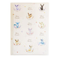 Hard 6P clear file/Eevee and evolved form