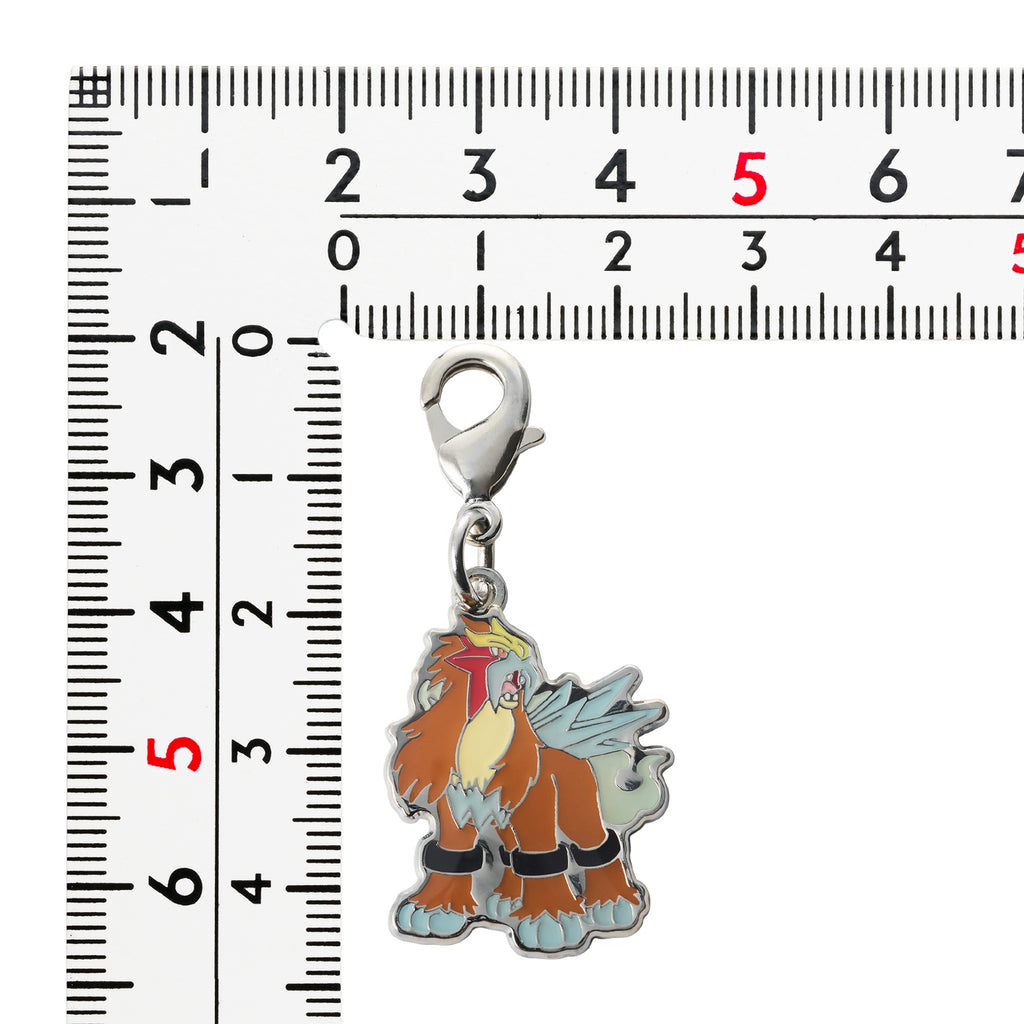Pokemon Metal Charm 244, Japan exclusive collectible with unique packaging