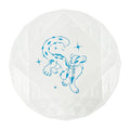 Pokemon TERACOOL accessory case with cool design from Japan