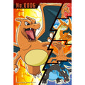 Pokemon Charizard Puzzle 300-ML11 with colorful frog design from Japan