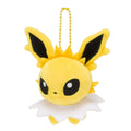 Chewy mascot Pokemon doll with detailed design from Japan, 11.5cm tall