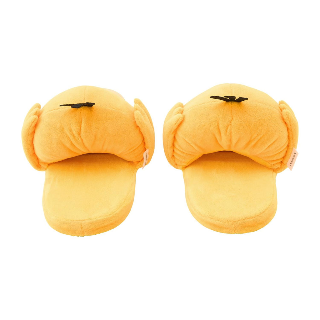 room slippers kodak