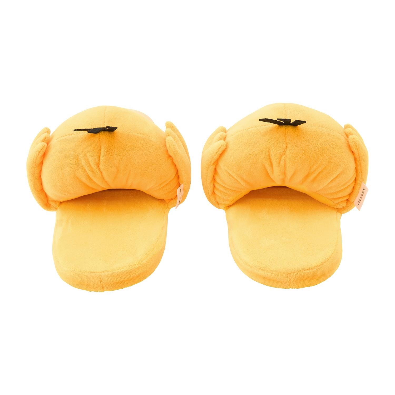 room slippers kodak