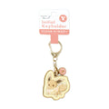 Eevee keychain figure from Japan, Normal-type Pokemon with detailed design