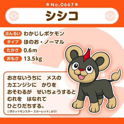 Pokémon fit Litleo #667 Official Plush – Pokémon Center Japan