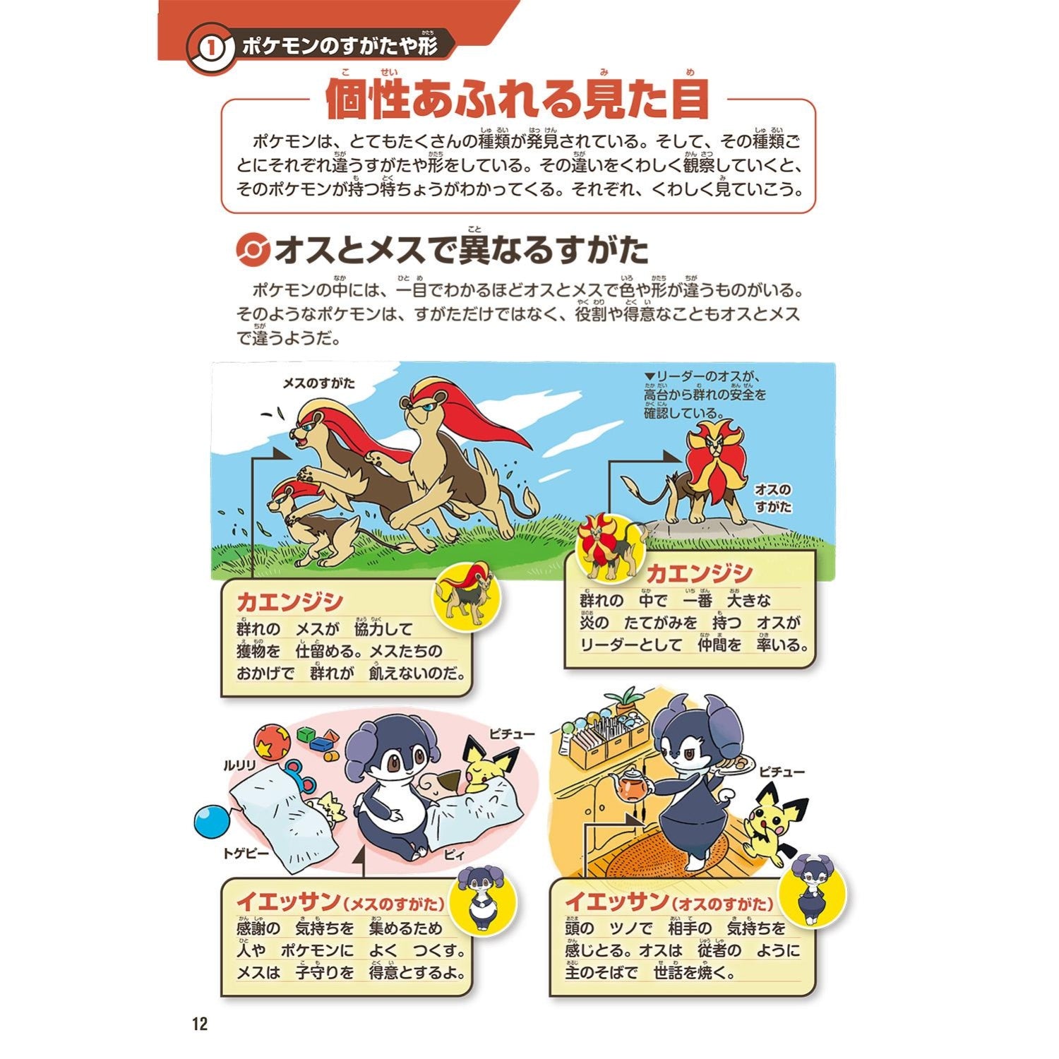 Pokemon ecology encyclopedia