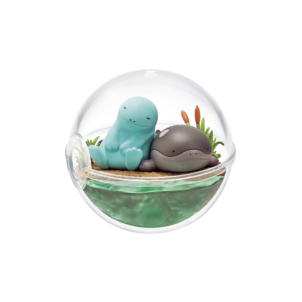 Terrarium Collection Relaxing Moments