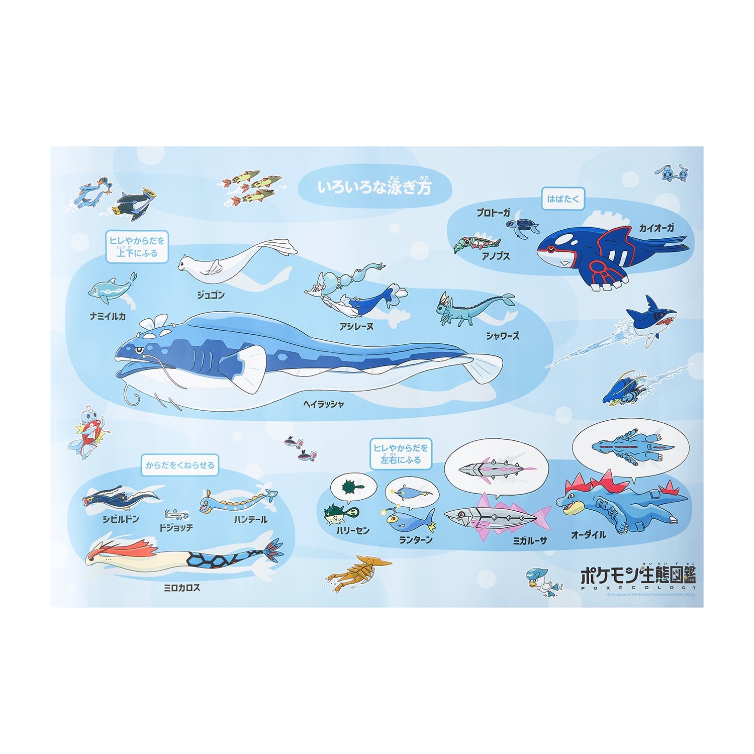 Bath Poster Pokemon Ecology Encyclopedia