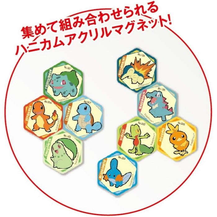 Honeycomb acrylic magnet vol.6 Crocodile