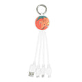 Multi charging cable Charizard