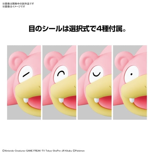 Detailed Pokemon model collection, authentic Japan product