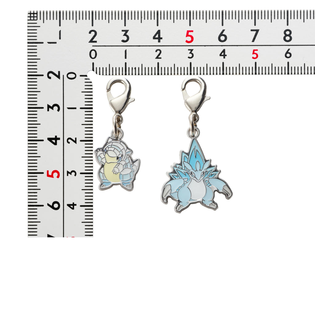 Pokemon Metal Charm A027/A028, Japan-exclusive collectible with intricate details