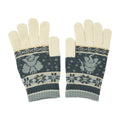 Gloves Snowy Gathering M/L