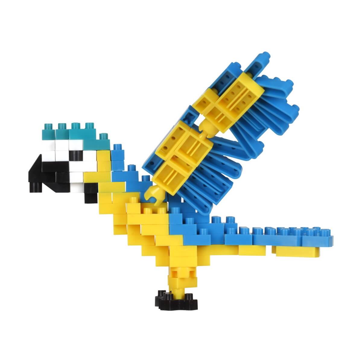 nanoblock blue macaw