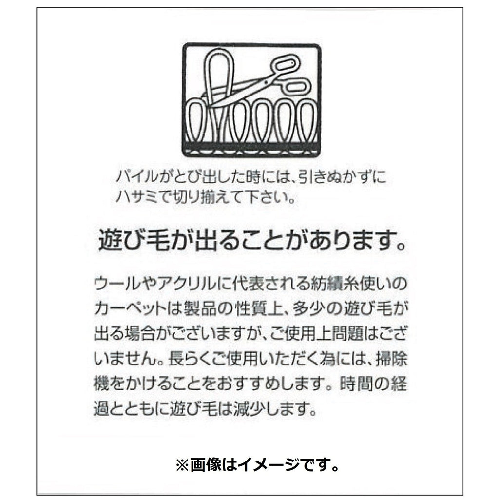 Suminoe Mat Partner Pokemon