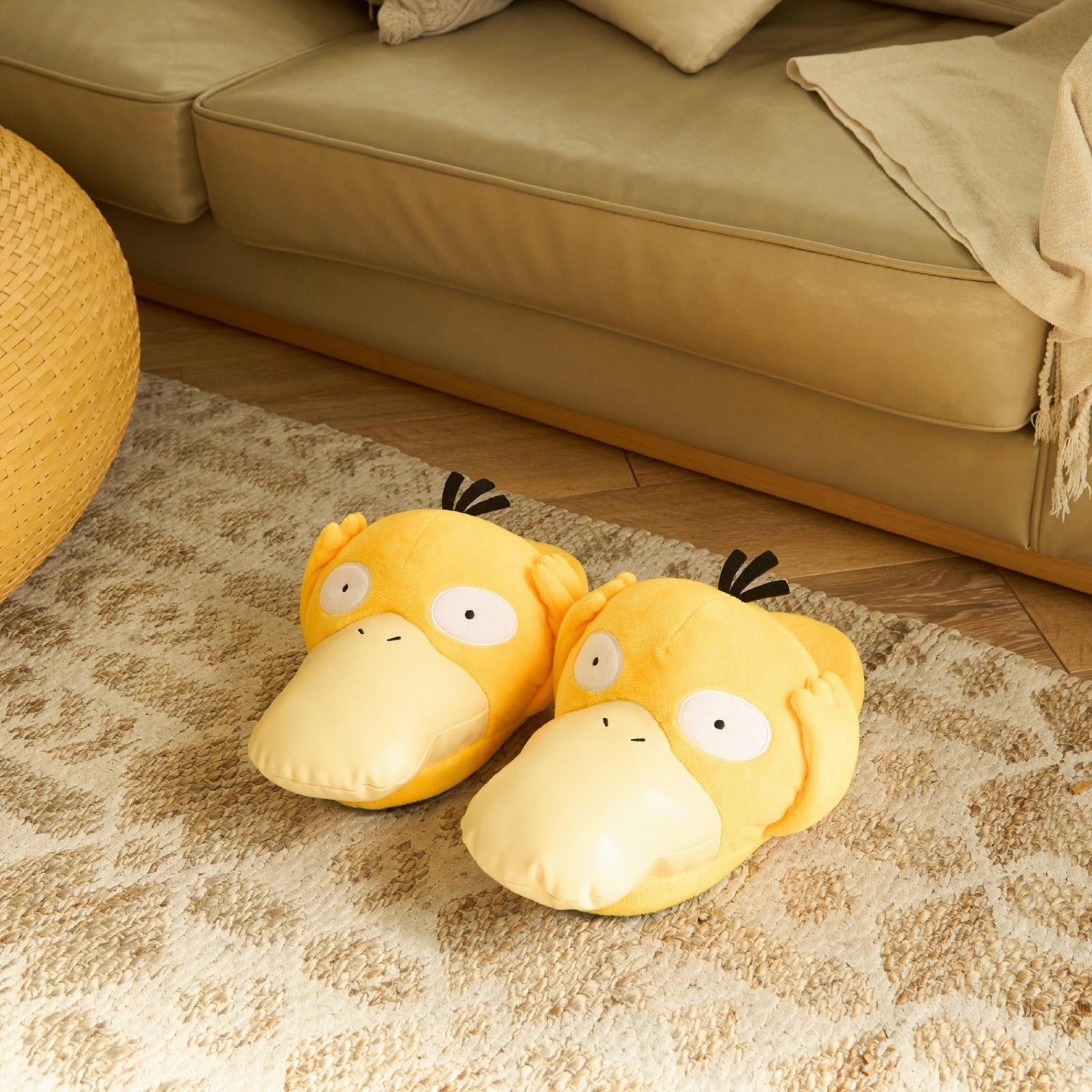 room slippers kodak