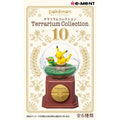 Terrarium collection 10