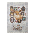 A4 Clear File Eevee Collection Eevee