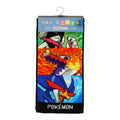 Pokemon mini towel set from Japan with colorful characters