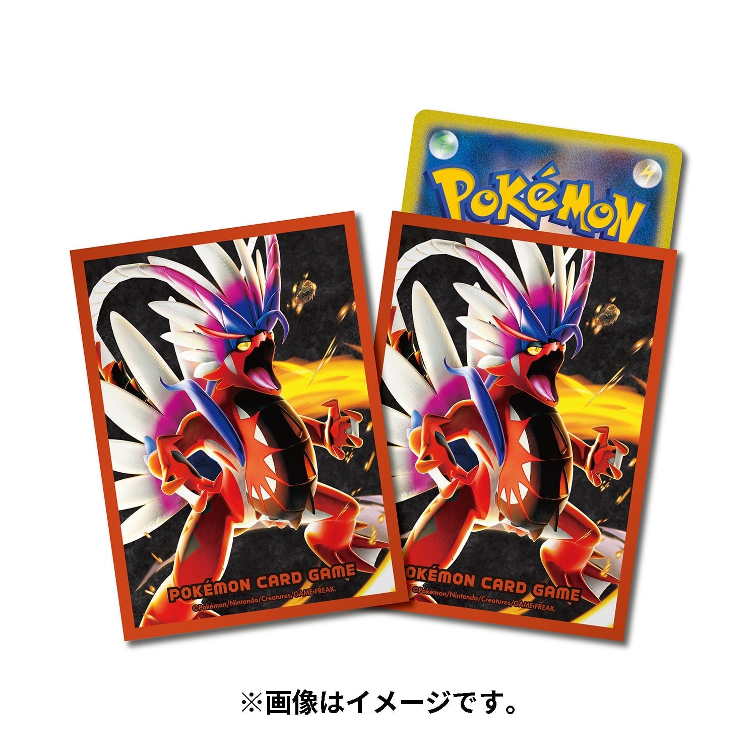 Pokémon TCG Premium Gloss Deck Sleeves – Koraidon #1007 (Japan)
