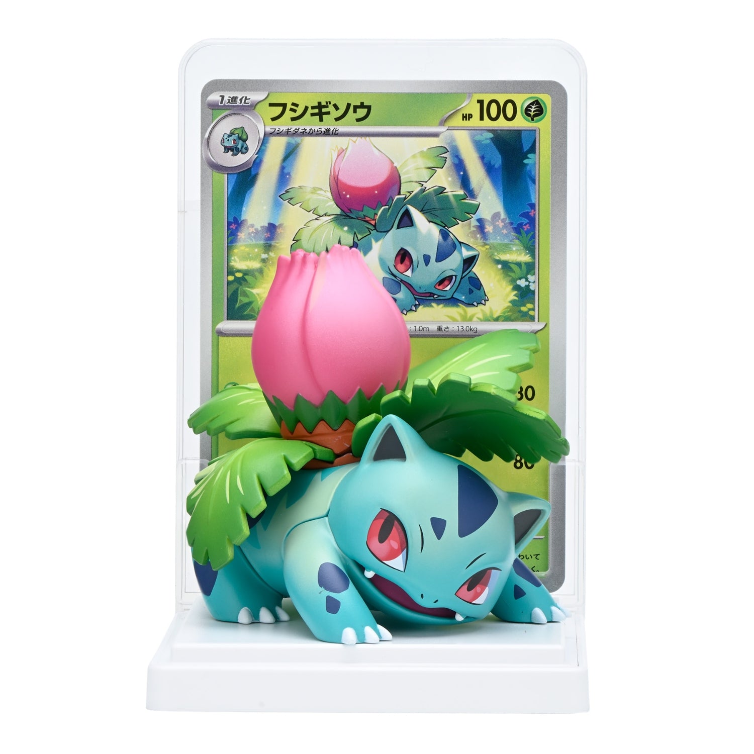 Pokémon TCG Card Illustration Figure Collection | Japan Exclusive