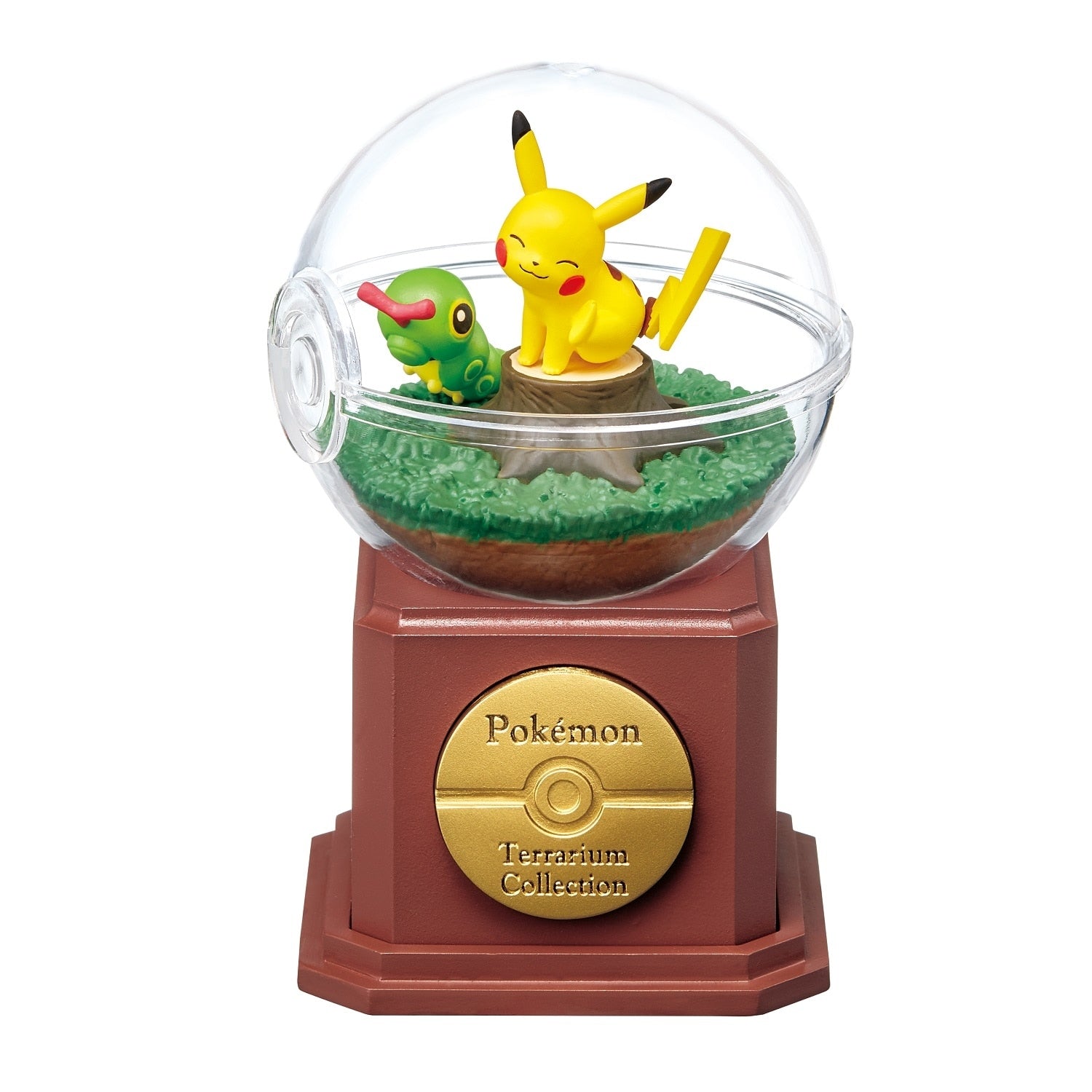 Terrarium collection 10