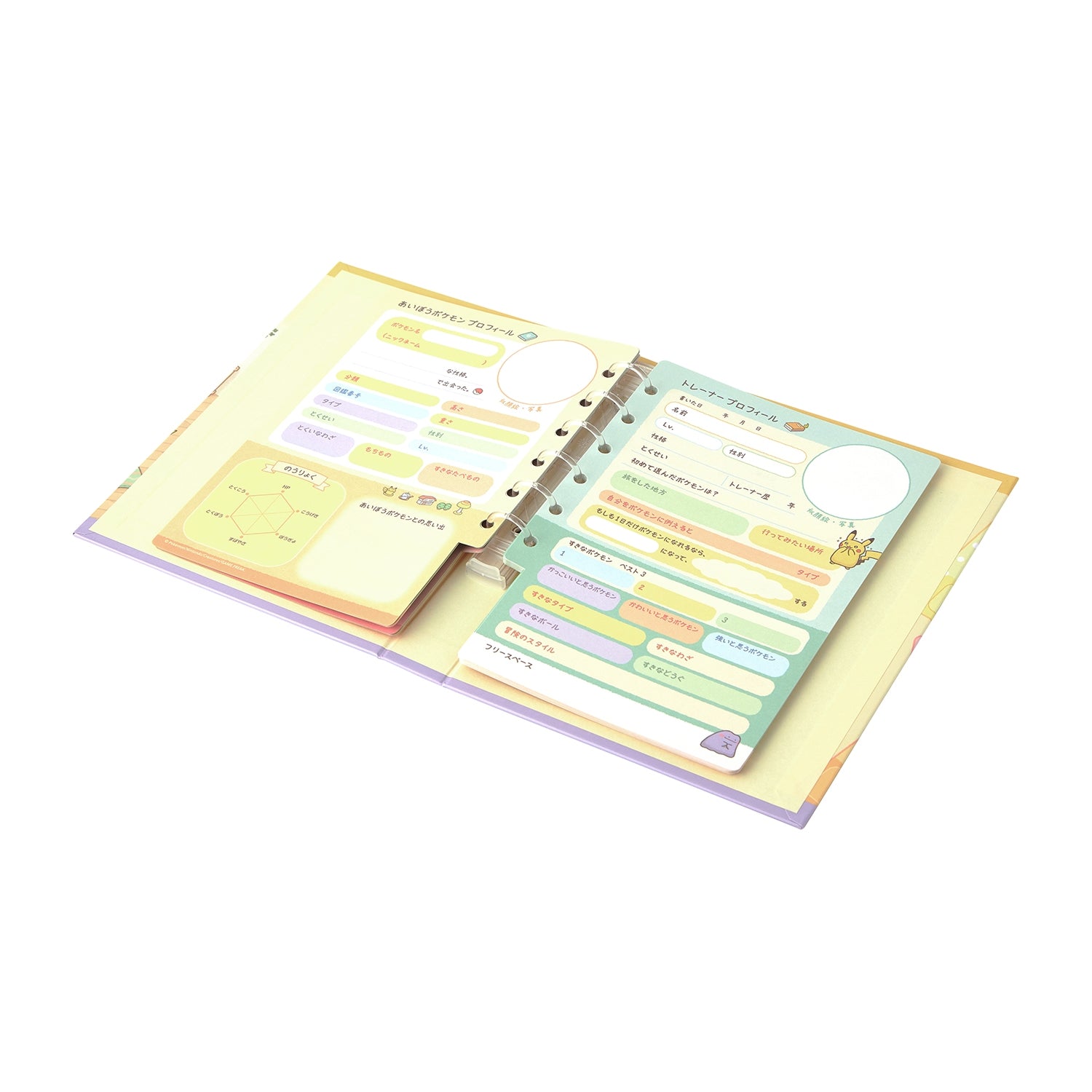Profile Book Ten Poke Ten Colors