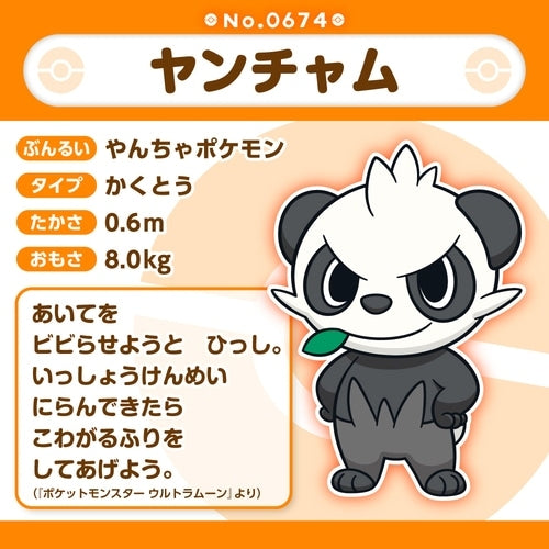 Rare Yancham Pokémon plush from Japan with unique design and authentic packaging