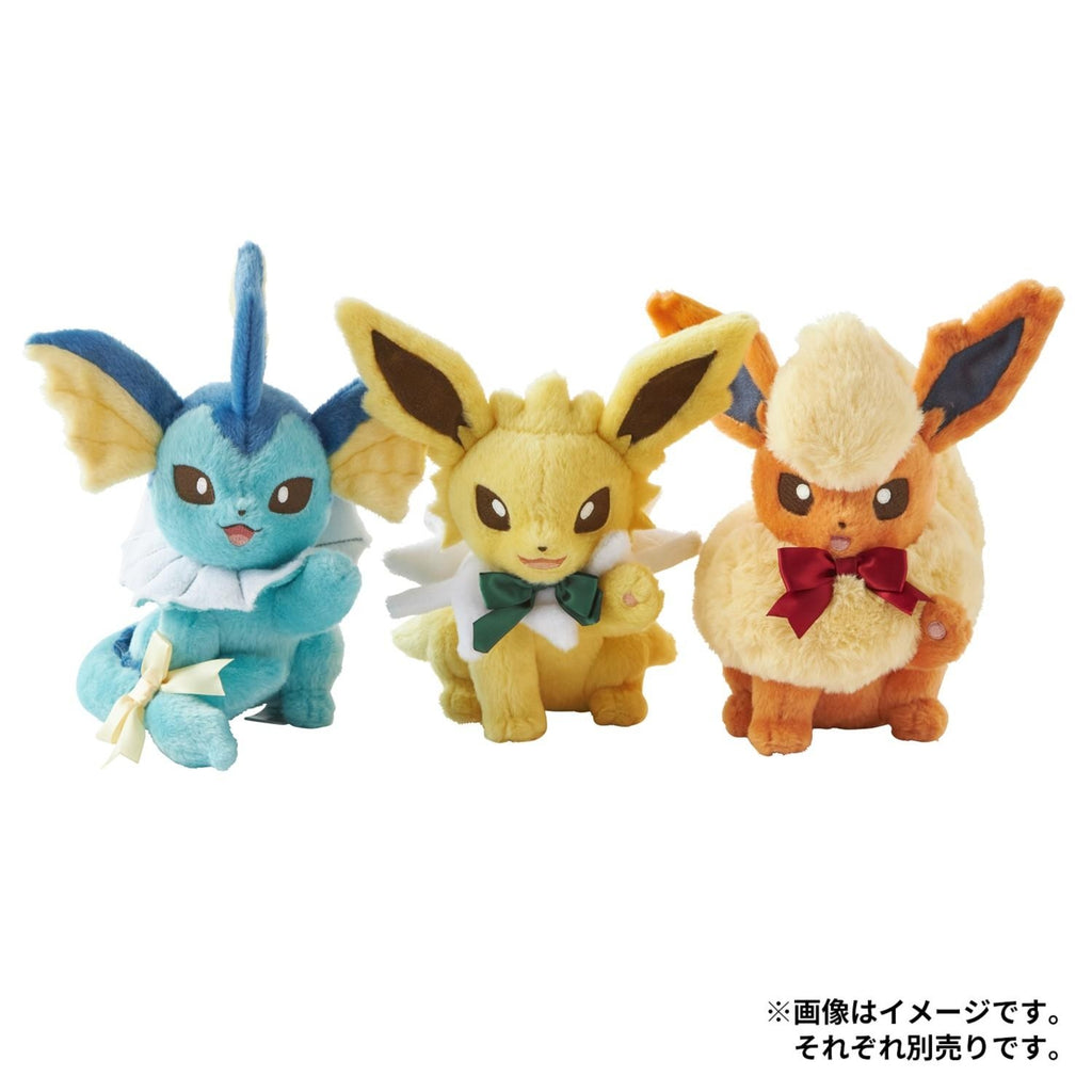Pokemon Eevee collection booster pack from Japan with unique design