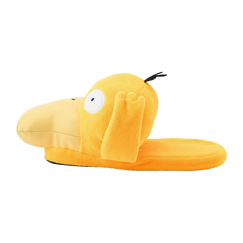 room slippers kodak