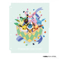 Pokémon TCG Collection Refill – Eevee & Eeveelutions | Japan Exclusive