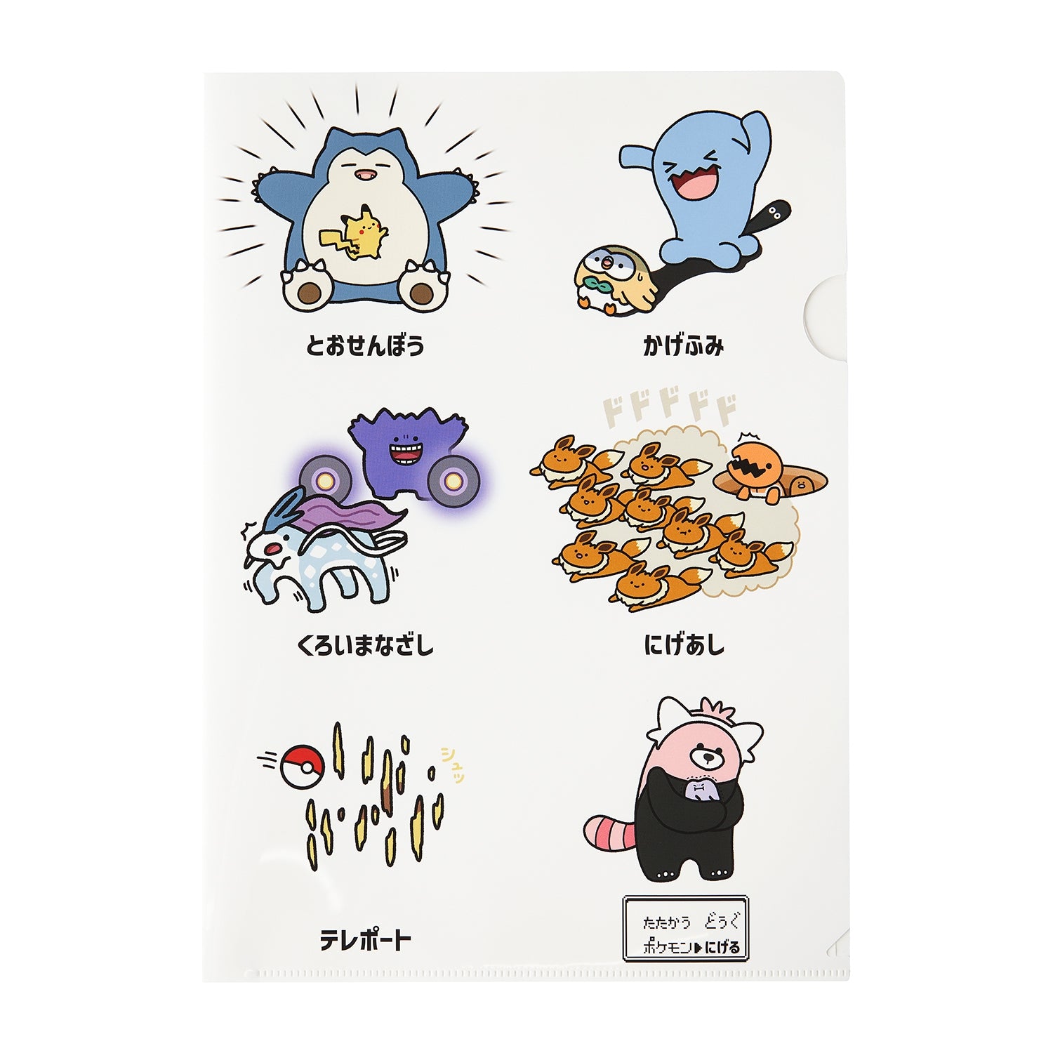 Set of 2 A4 clear files
