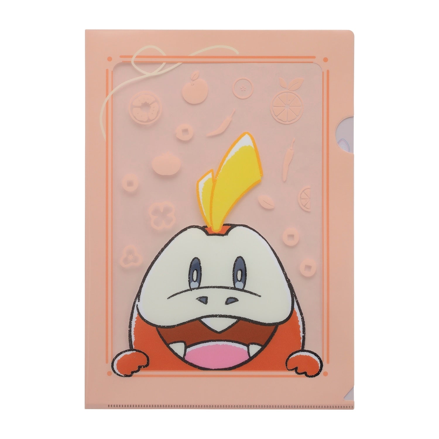 A4 clear file hogator