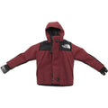 THE NORTH FACE Mini Mountain Jacket